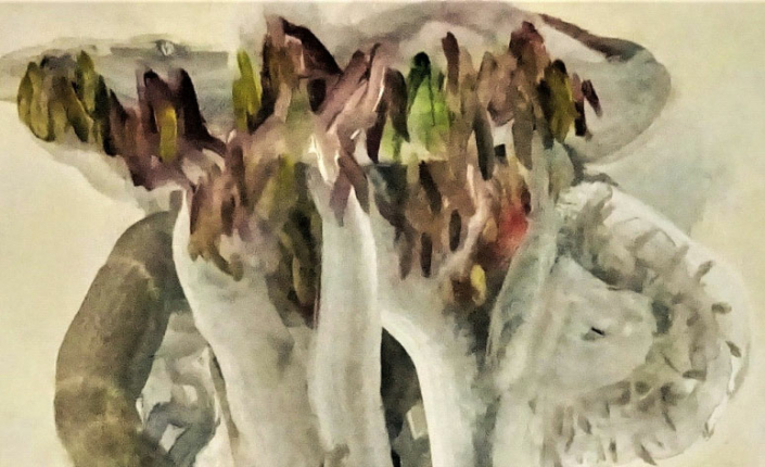 Détrempe, encre, pigments….