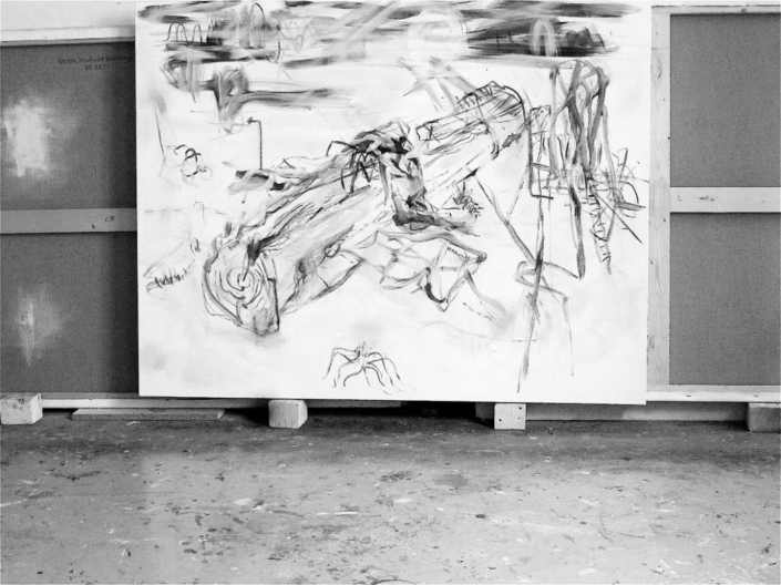 Etude au fusain, encre sur toile de lin.
